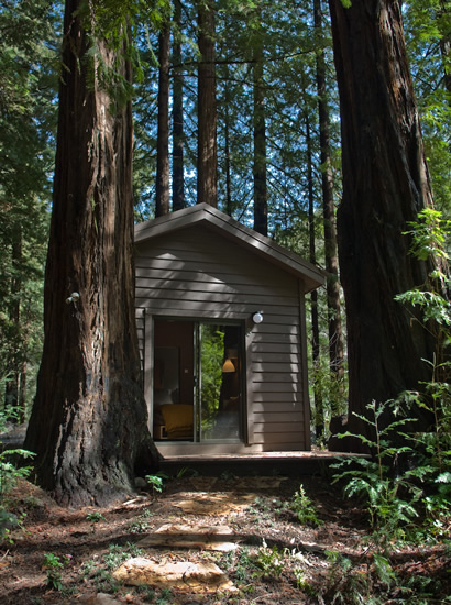 Cozy duplex cabin nestled between to redwood trees in the woods.