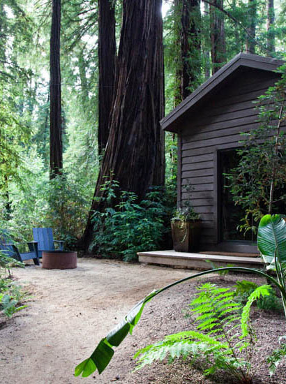 Cozy duplex cabin situated amongst centuries old redwoods and within a stone’s throw of the pristine Big Sur River.