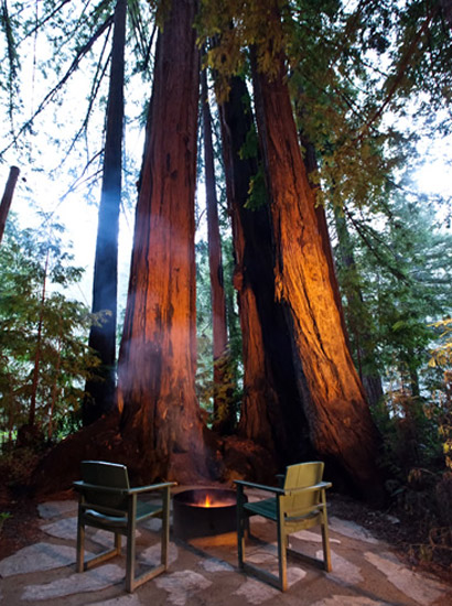 Centuries old redwoods with a private patio and fire pit.