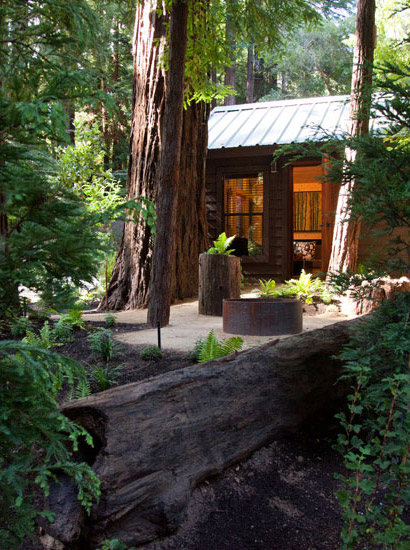 Exterior view of cabin among lush landscaping and towering redwoods.