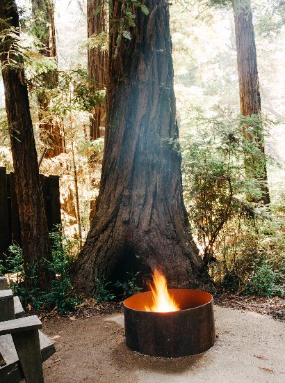 Private outdoor fire pit with giant redwood and forest view.