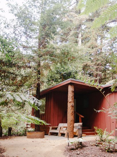 Exterior view of the Little Red House with fire pit and wooden chairs nestled in the Redwood Grove and it's majestic trees.