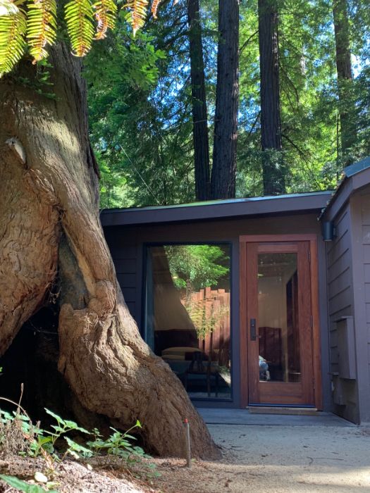 Front view of the Mountain View suite with majestic redwood trees in the backdrop.