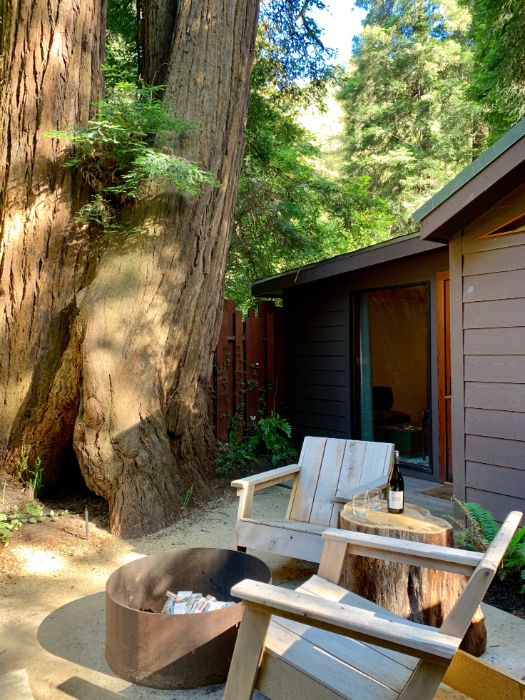 Front porch with wooden chairs, fire pit, and huge redwood tree.