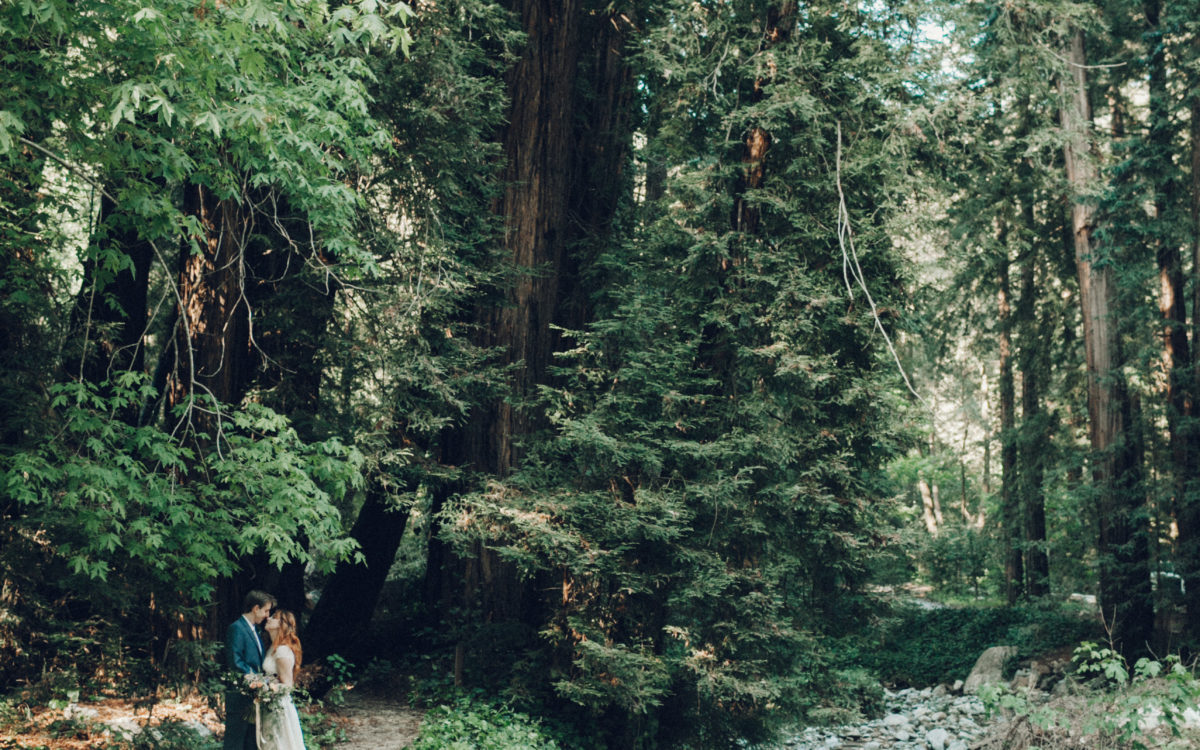 Bride and groom lovingly gaze into one another's eyes while standing in forest.