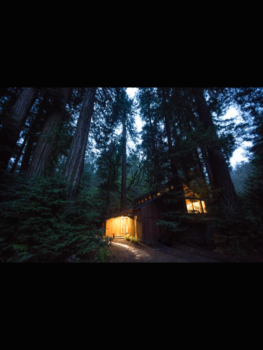 A mesmerizing fairy ring of redwood giants surrounding the illuminated cabin at dusk.