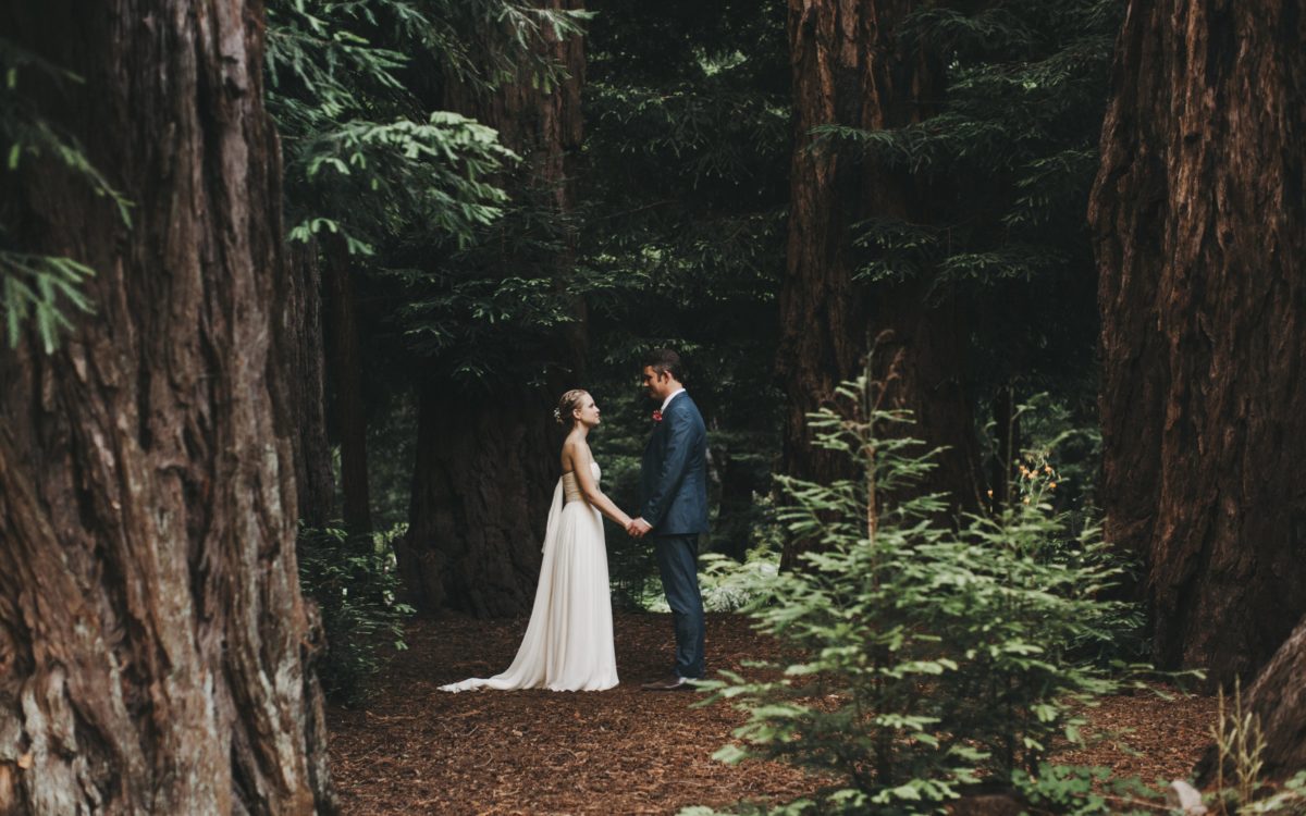 Bride and groom lovingly facing one another while standing in redwood forest.